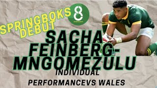 SACHA FEINBERGMNGOMEZULU SPRINGBOKS DEBUT AGAINST WALES  INDIVIDUAL PERFORMANCE [upl. by Nerin92]