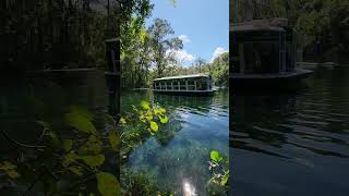 Silver Springs Crystal Clear Waters in Florida Shorts [upl. by Prasad]