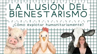 El bienestarismo y la verdad oculta detrás de la explotación de gallinas [upl. by Odlonyer]