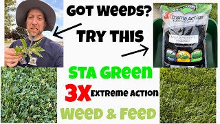 Weed amp FeedSta Green 3X Extreme Action Application and Results weedampfeed stagreen weedcontrol [upl. by Afas353]