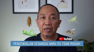 Pengendalian Serangga Hama itu Tidak Mudah [upl. by Elle]