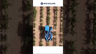 🎥 ¡Descubre la NUEVA Vendimiadora Compacta Braud 850L en La Mancha 🍇🚜 [upl. by Sualkcin]