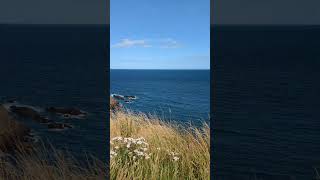 Dunnottar castle Scotland [upl. by Quintana669]