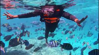 Snorkeling maldives snorkeling travel beach water watersports maldives [upl. by Auqenahc]