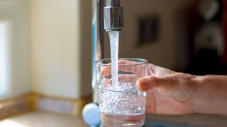 Cancerlinked chemicals detected across Sydney’s drinking water catchment [upl. by Yacov]