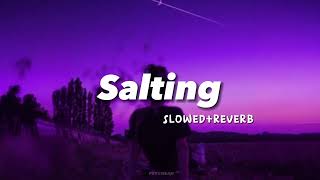 Salting  Slowedreverb   Tiktok Viral Song  Indo Remix [upl. by Aihseym716]