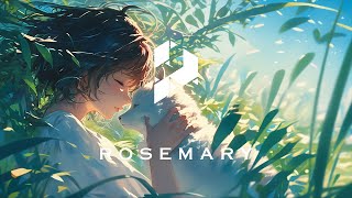 Projectify  Rosemary Exclusive Release [upl. by Ferri815]