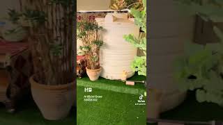 Artificial grass Qatar [upl. by Urban]