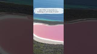 Lake Hillier in Australia is a bubblegum pink body of water didyouknow facts [upl. by Faus]