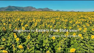 What makes the Eastern Free State lekker  Episode 1 Updated [upl. by Roobbie162]