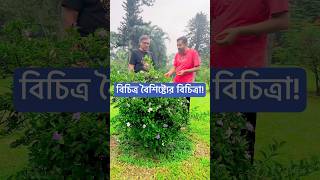 বিচিত্র বৈশিষ্ট্যের বিচিত্রা। আমরা প্রতিটি নতুন রঙে নতুন গল্প খুঁজি [upl. by Oremar939]