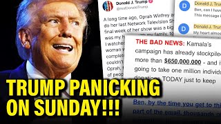 OMG Trump FREAKS OUT Sunday after VERY BAD NEWS [upl. by Earal]