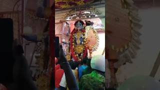 Ma Bolla 🌼🙏🏻  Bolla kali Puja 2024  youtubeshorts 💖💖 [upl. by Elleinaj258]