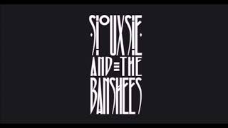 Siouxsie And The Banshees  Live in Roslyn 1980 Full Concert [upl. by Yennek]