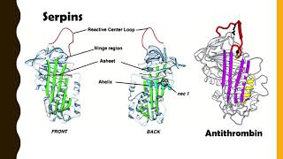 Antithrombin III [upl. by Neersan807]