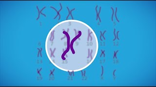 Prenatal testing for chromosomal abnormalities [upl. by Territus]