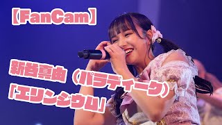 【FanCam】新谷真由（パラディーク）「エリンジウム」【推しカメラ】 [upl. by Ajnotal]