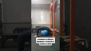 Estiramiento abdominal y activación de flexores de cadera en fitball regresión al back bridge [upl. by Jessika]