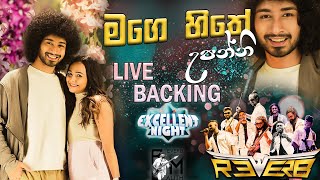 Hithe Upanni හිතේ උපන්නී Amisha Minol With REVERB  Excellent Night Bandaragama 2024  Bass cover [upl. by Eisteb532]