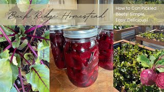 How To Can amp Preserve Pickled Beets  Garden To Table On The Homestead  Simple Easy amp Delicious [upl. by Anwad]