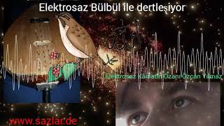 elektro saz bülbül ile dertleşiyor [upl. by Rasla]