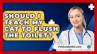 Should I Teach My Cat to Flush the Toilet  PetGuide360com [upl. by Yor]