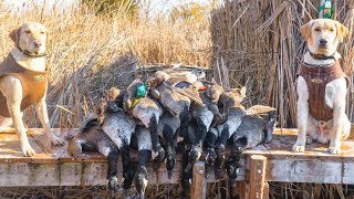 My BEST Duck and Goose Hunt Yet  Duck Hunting 2017 [upl. by Nrehtac]