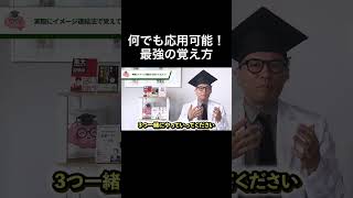 【東大理Ⅲが教える】一度覚えたら忘れられなくなる暗記の方法 記憶術 受験 非常識な記憶学 東大 吉永式記憶術 大学受験 吉永賢一 [upl. by Eirahcaz606]