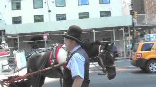 Horse Drawn Carriage Driver Rant [upl. by Guevara723]