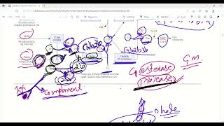 Complement system and disordersImmune responseImmunologyFirst Aid LecturesLec14 drjamillectures [upl. by Kimberlee]