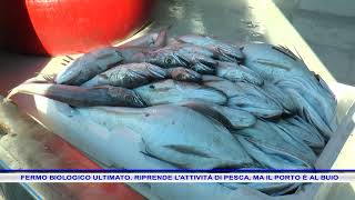 FERMO BIOLOGICO ULTIMATO RIPRENDE LATTIVITÀ DI PESCA MA IL PORTO È AL BUIO [upl. by Acyssej]