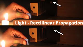 Light  Rectilinear Propagation  ThinkTac [upl. by Akinihs]