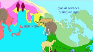 Beringia [upl. by Ayotas956]