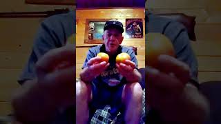 How To Ripen Your Tomatoes Fast gardening tomatoes offgridliving [upl. by Schick]