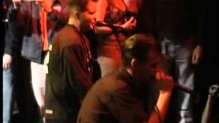 Dropkick Murphys  Barroom Hero  Live [upl. by Edyaj60]