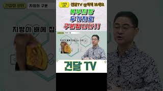 건달TV 복부지방 두 가지로 구분 됩니다지방의구분피하지방내장지방 건달tv 건강정보 [upl. by Materi]