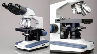 AmScope Biological Binocular Siedentopf Compound Microscope With 3D Double Layer Mechanical Stage [upl. by Stretch]