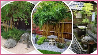 Amazing Bamboo Landscaping IdeasCam Garden [upl. by Sidky612]