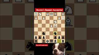 Queens Gambit AcceptedCheckmate in 13 movesFastest checkmate in chess [upl. by Ruvolo]