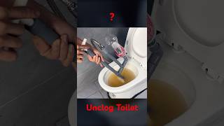 Master Plumber Reveals the SECRET how to UNCLOG TOILET [upl. by Lenuahs]