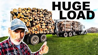 NEVER SEEN BEFORE LOG UNLOADING VIEW HUGE LOG LOAD [upl. by Chev]