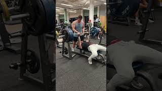 155kg Bench Press Attempt [upl. by Naejarual467]