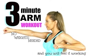 3 MINUTE ARM TONING WORKOUT  No Weights need and you will feel it working START NOW [upl. by Hein]