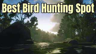 Best Small Bird Hunting Spot  Perfect Robin Woodpecker Oriole Cardinal Blue Jay more  RDR2 [upl. by Erek]