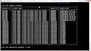 BaseSpaceCLI tutorial listing entities [upl. by Hamachi]