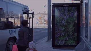 Lupina  bus stop video art [upl. by London]