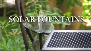 How to install Solar Pumps for Working Water Fountains and Ponds [upl. by Klarrisa]