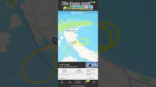 Are these flight radar catches rare [upl. by Notnilk]