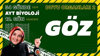 12 Göz  Duyu Organları  11 Sınıf Biyoloji  2024 AYT Biyoloji Kampı 12 Gün [upl. by Nitsur]