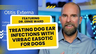 Treating Dog Ear Infections with Virbac Easotic featuring Dr Ernie Ward [upl. by Hplodnar54]